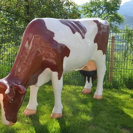 Daire Berger Rossleithen