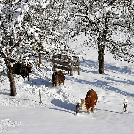 Apartment Berger Rossleithen