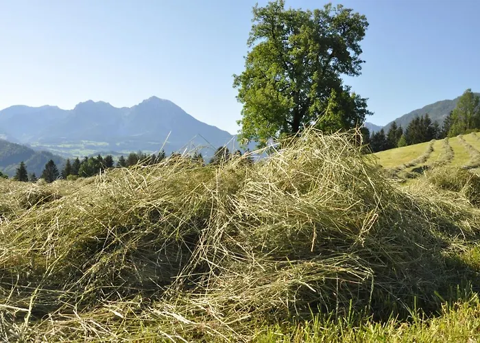 Διαμέρισμα Berger *