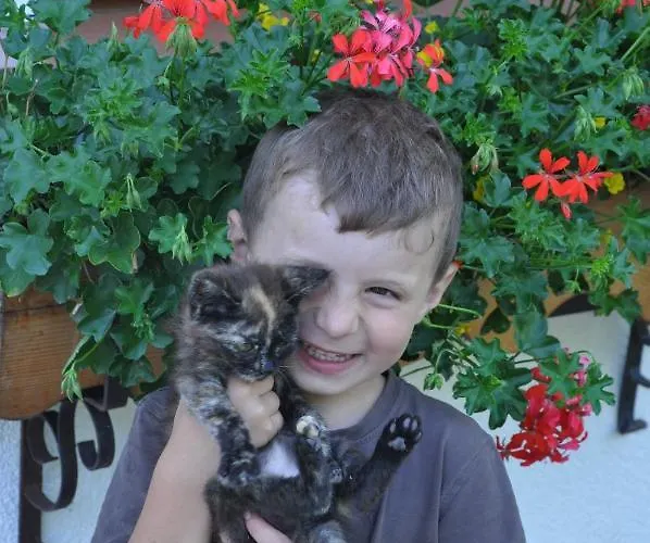 Berger Διαμέρισμα Rossleithen