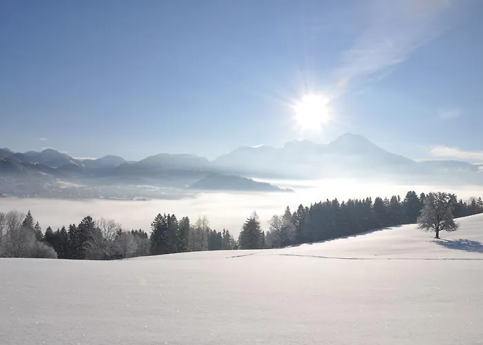 Berger Daire Rossleithen