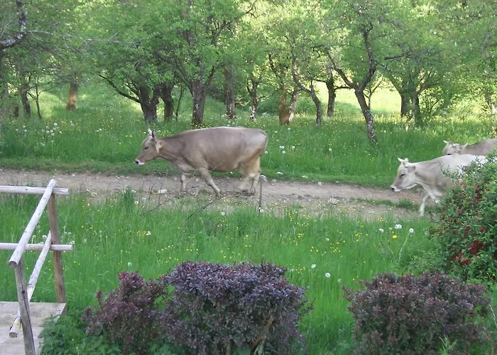 Διαμέρισμα Berger *