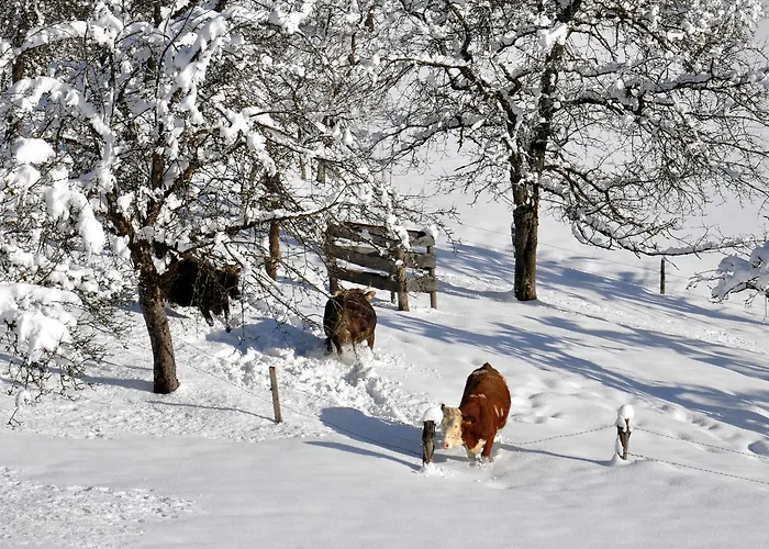 Daire Berger Rossleithen