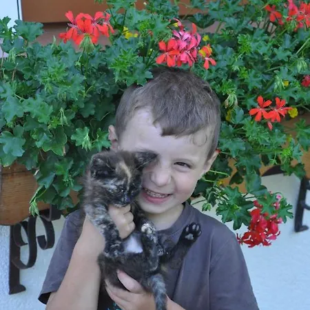 Berger Apartment Rossleithen