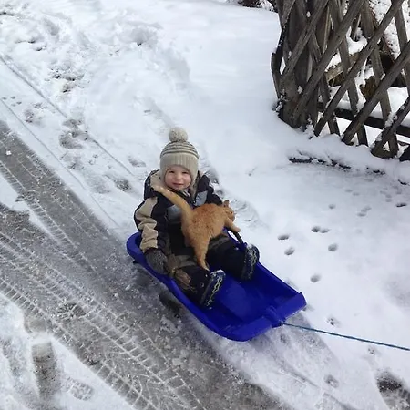 Berger Apartment Rossleithen