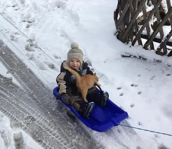 Berger Διαμέρισμα Rossleithen